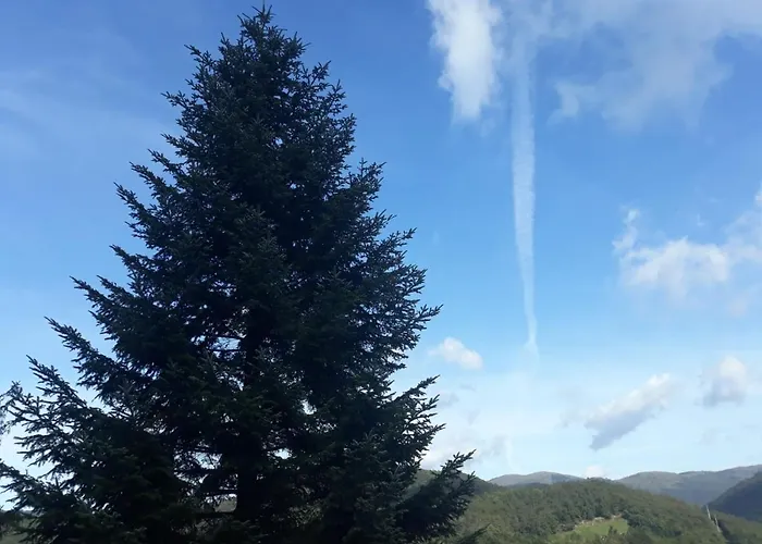 住宿加早餐酒店 Ca' Du Tu